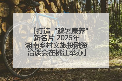 打造“避暑康养”新名片 2025年湖南乡村文旅投融资洽谈会在桃江举办