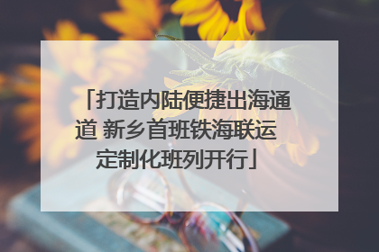 打造内陆便捷出海通道 新乡首班铁海联运定制化班列开行