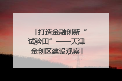 打造金融创新“试验田”——天津金创区建设观察