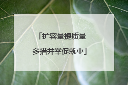 扩容量提质量 多措并举促就业