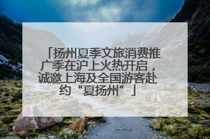 扬州夏季文旅消费推广季在沪上火热开启，诚邀上海及全国游客赴约“夏扬州”