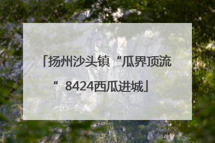 扬州沙头镇“瓜界顶流”8424西瓜进城