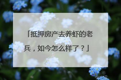 抵押房产去养虾的老兵，如今怎么样了？