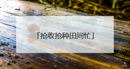 抢收抢种田间忙
