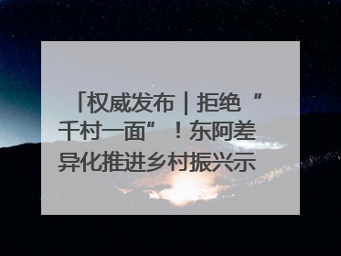 权威发布｜拒绝“千村一面”！东阿差异化推进乡村振兴示范片区建设