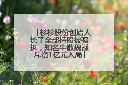 杉杉股份创始人长子全部持股被强执，知名牛散魏巍斥资1亿元入局