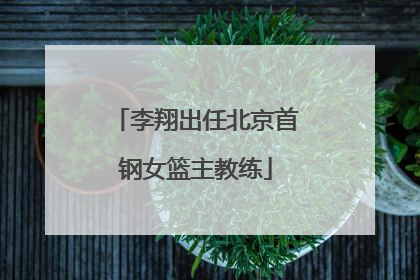 李翔出任北京首钢女篮主教练