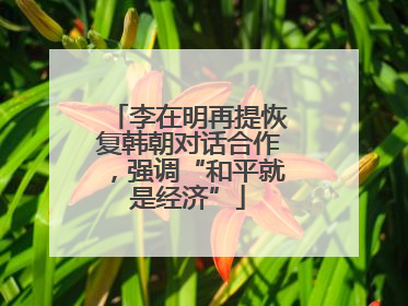 李在明再提恢复韩朝对话合作，强调“和平就是经济”