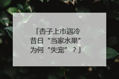 杏子上市遇冷 昔日“当家水果”为何“失宠”？
