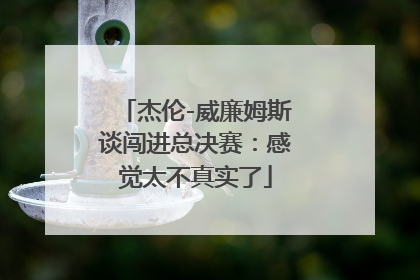 杰伦-威廉姆斯谈闯进总决赛：感觉太不真实了
