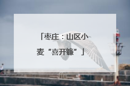 枣庄：山区小麦“喜开镰”