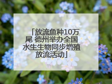 放流鱼种10万尾 德州举办全国水生生物同步增殖放流活动
