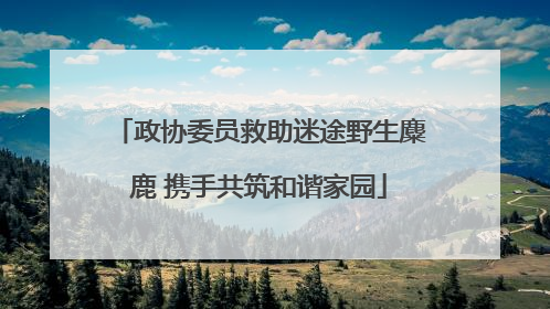 政协委员救助迷途野生麋鹿 携手共筑和谐家园
