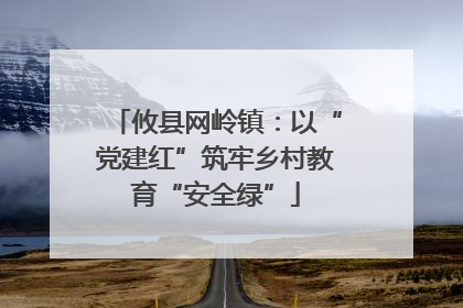 攸县网岭镇：以“党建红”筑牢乡村教育“安全绿”