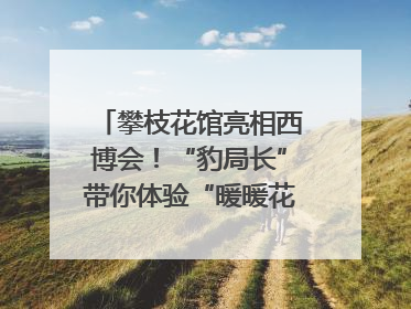 攀枝花馆亮相西博会！“豹局长”带你体验“暖暖花城”独特魅力｜西博视界