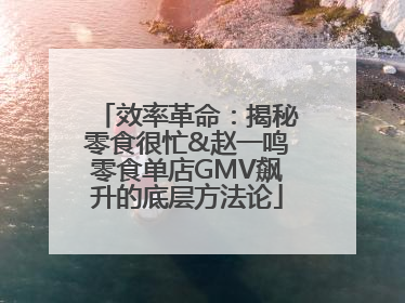 效率革命：揭秘零食很忙&赵一鸣零食单店GMV飙升的底层方法论
