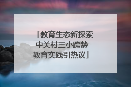 教育生态新探索 中关村三小跨龄教育实践引热议