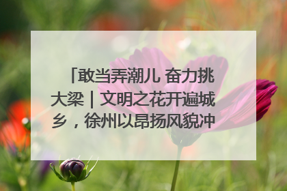 敢当弄潮儿 奋力挑大梁｜文明之花开遍城乡，徐州以昂扬风貌冲刺“万亿之城”