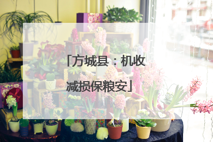 方城县：机收减损保粮安