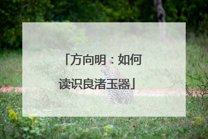 方向明：如何读识良渚玉器