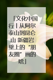 文化中国行丨从阿尔泰山到昆仑山 新疆岩壁上的“朋友圈”画的啥