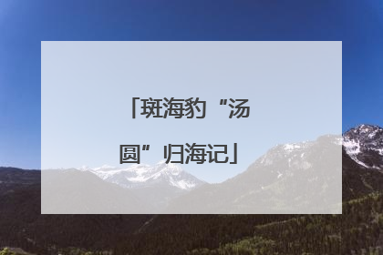斑海豹“汤圆”归海记
