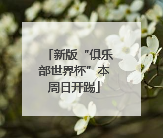 新版“俱乐部世界杯”本周日开踢