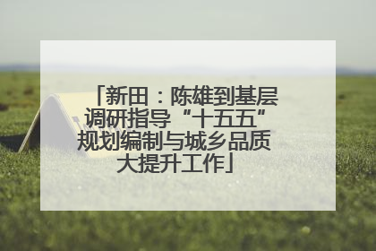 新田：陈雄到基层调研指导“十五五”规划编制与城乡品质大提升工作