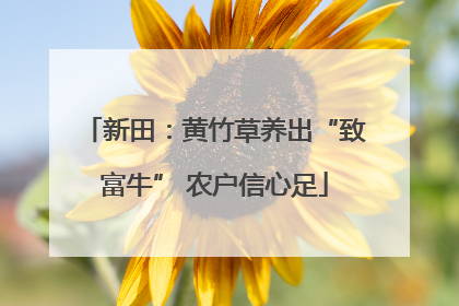 新田：黄竹草养出“致富牛” 农户信心足