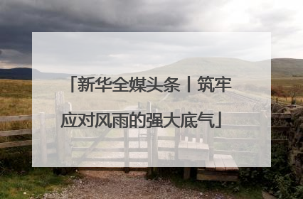 新华全媒头条丨筑牢应对风雨的强大底气