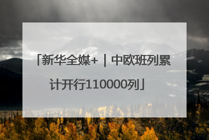 新华全媒+｜中欧班列累计开行110000列