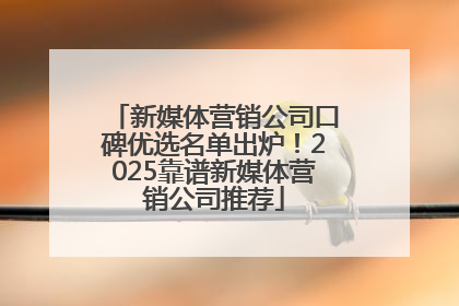 新媒体营销公司口碑优选名单出炉！2025靠谱新媒体营销公司推荐