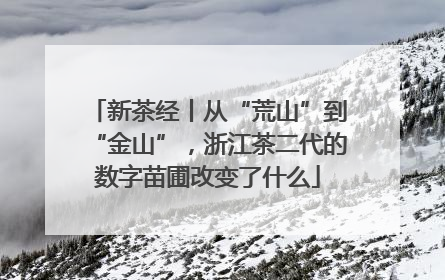 新茶经丨从“荒山”到“金山”，浙江茶二代的数字苗圃改变了什么
