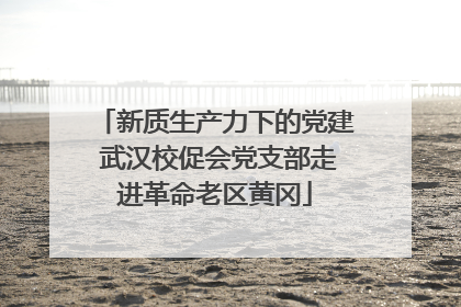 新质生产力下的党建 武汉校促会党支部走进革命老区黄冈