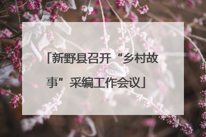 新野县召开“乡村故事”采编工作会议