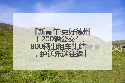 新青年·更好德州丨200辆公交车、800辆出租车集结，护送乐迷往返