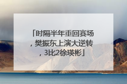 时隔半年重回赛场，樊振东上演大逆转，3比2徐瑛彬