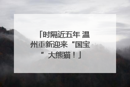 时隔近五年 温州重新迎来“国宝”大熊猫！