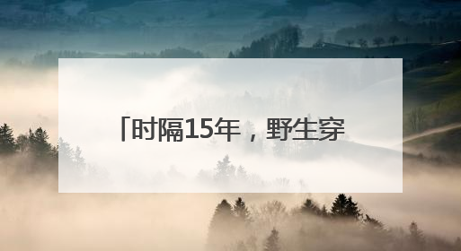 时隔15年，野生穿山甲再现湖南桂东