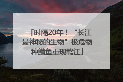 时隔20年！“长江最神秘的生物”极危物种鳤鱼重现赣江