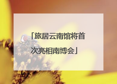 旅居云南馆将首次亮相南博会