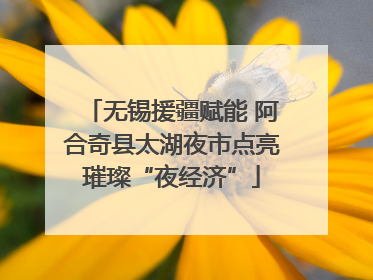无锡援疆赋能 阿合奇县太湖夜市点亮璀璨“夜经济”