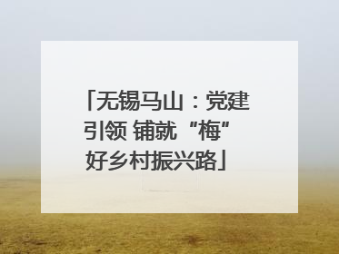 无锡马山：党建引领 铺就“梅”好乡村振兴路