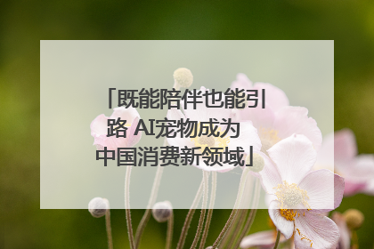 既能陪伴也能引路 AI宠物成为中国消费新领域