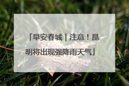 早安春城｜注意！昆明将出现强降雨天气