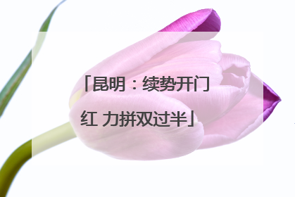 昆明：续势开门红 力拼双过半