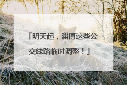明天起，淄博这些公交线路临时调整！