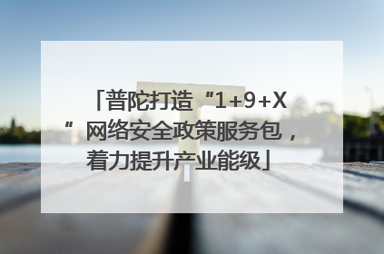 普陀打造“1+9+X”网络安全政策服务包，着力提升产业能级