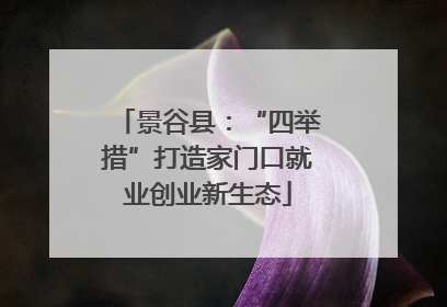 景谷县：“四举措”打造家门口就业创业新生态