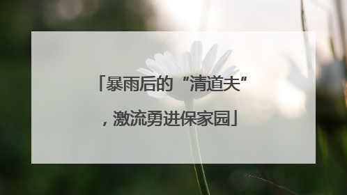 暴雨后的“清道夫”，激流勇进保家园